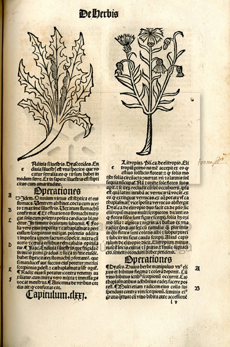 https://175anosbpb.pt/wp-content/uploads/2016/09/134.jpg